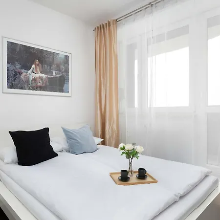 Stylish Air Conditioned With Balcony And View By Renters Катовіце