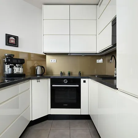 Apartment Stylish Air Conditioned With Balcony And View By Renters Katowice